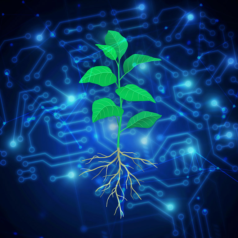 A green leafy plant with its roots exposed on a background of abstract computer imagery representing SLEAP.