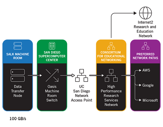 Sci Net Graphic Representation