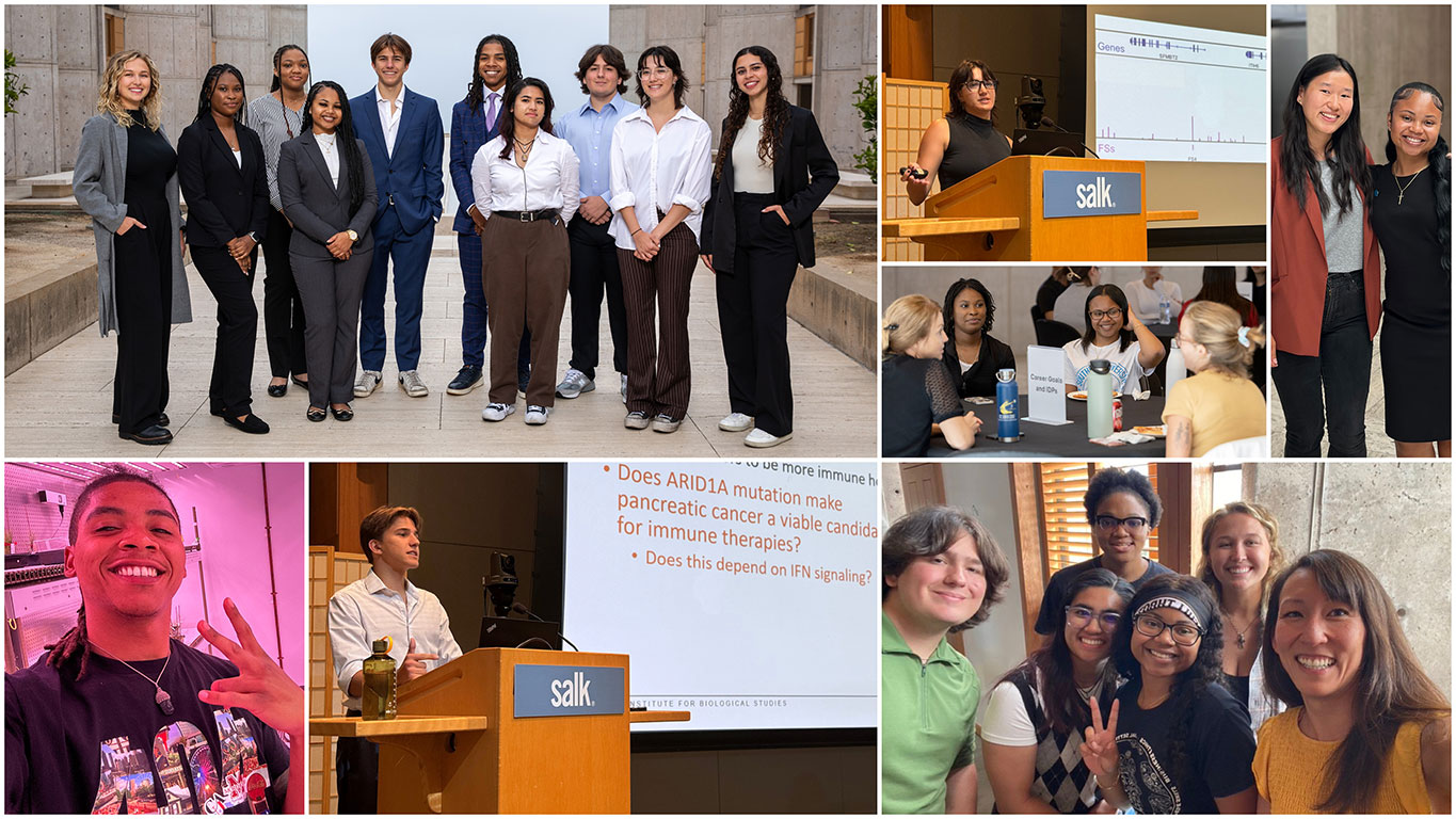 Salk Summer Undergraduate Research Fellowship