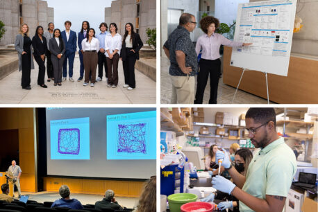 Salk’s education pipeline programs provide research, mentoring, and skill-building experiences that give students and trainees at all levels a competitive edge as they progress in their careers.