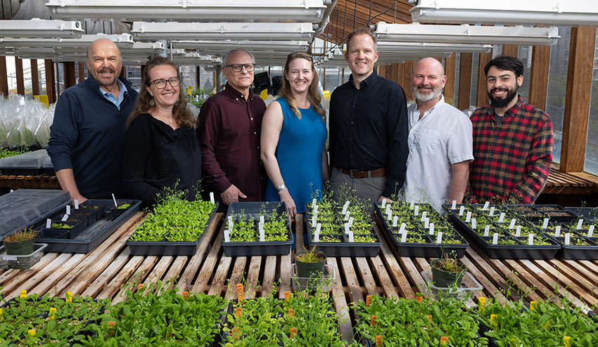 From left: Joseph Ecker, Lena Mueller, Joseph Noel, Julie Law, Wolfgang Busch, Todd Michael, and Talmo Pereira.