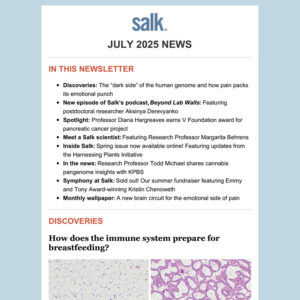 July Salk News
