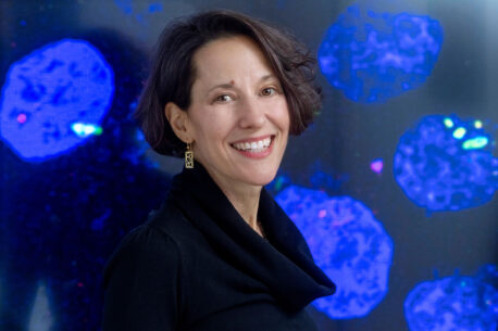 Brenda Schulman