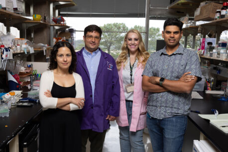 Katia Troha (left), Christian Metallo (center left), Janelle Ayres (center right), and Shrikaar Kambhampati (right) discovered that an essential amino acid can boost kidney performance and clear inflammation—rescuing mice from inflammation-related injury and death.