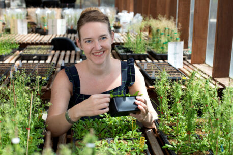 Julie Law, who studies how epigenetics influences human and plant health, has been promoted from associate professor to full professor.