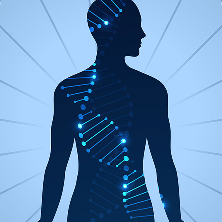 Two ways to read a genome: Scientists reveal the first body-wide, single-cell atlas that maps DNA folding and epigenetics together