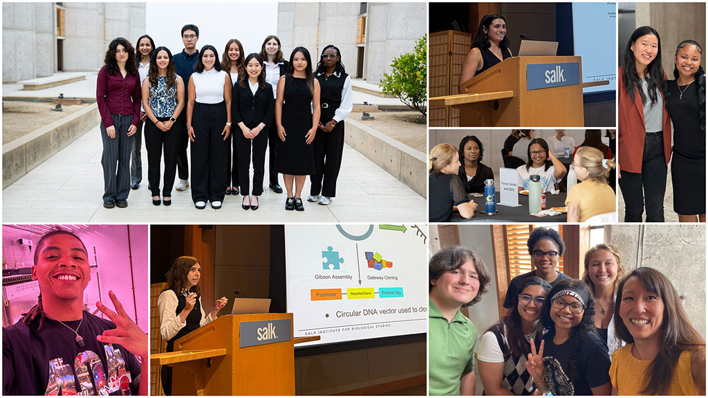 Salk Summer Undergraduate Research Fellowship