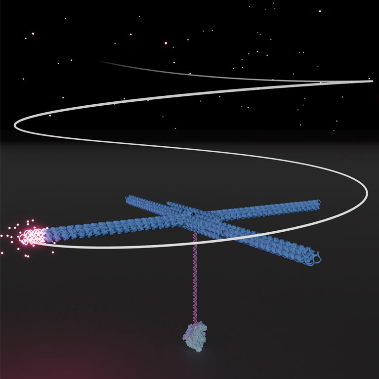 DNA origami illuminates invisible molecular movements