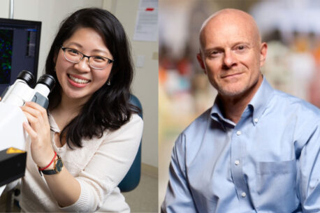 Youtong Huang (left) and Greg Lemke (right) discovered microglia use the TAM system to find and kill nerve cells in the spinal cords of mice with late-stage amyotrophic lateral sclerosis (ALS), in turn speeding up death. Youtong Huang (left) and Greg Lemke (right) discovered microglia use the TAM system to find and kill nerve cells in the spinal cords of mice with late-stage amyotrophic lateral sclerosis (ALS), in turn speeding up death.