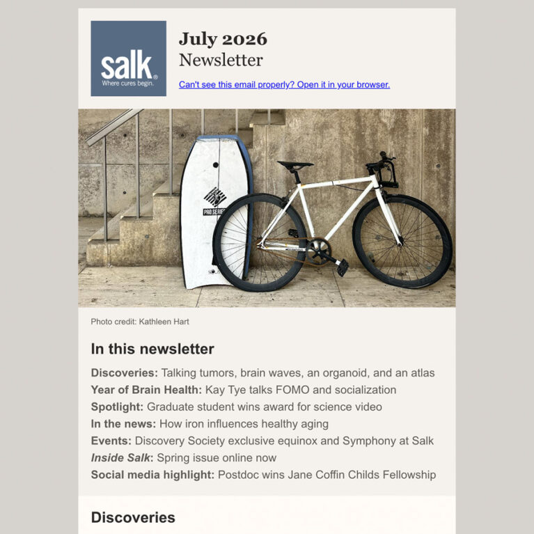26 July Newsletter Thumbnail